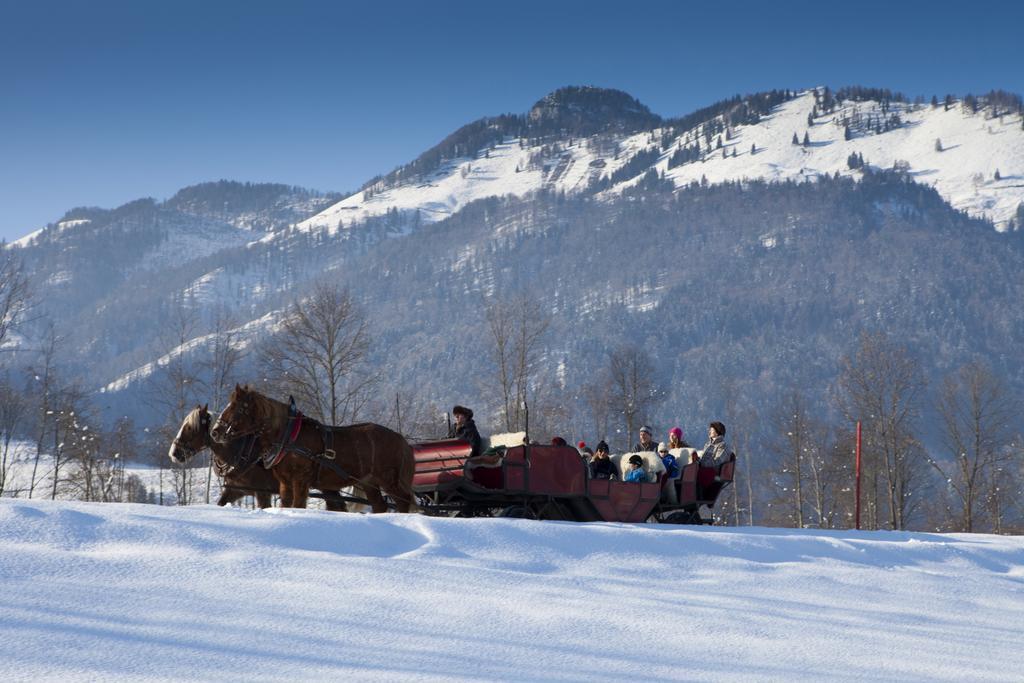 Bergheim Komfort Ferienwohnungen Walchsee Zewnętrze zdjęcie