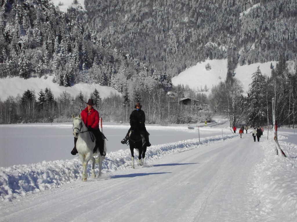 Bergheim Komfort Ferienwohnungen Walchsee Zewnętrze zdjęcie