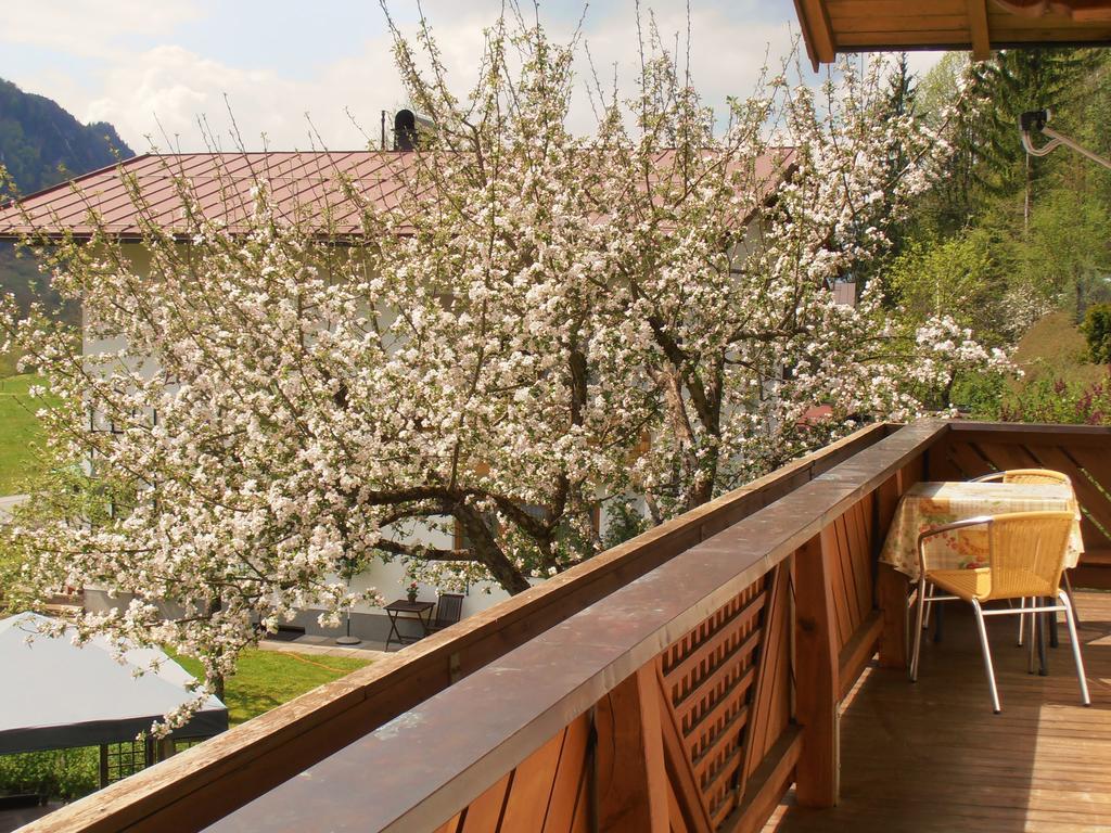 Bergheim Komfort Ferienwohnungen Walchsee Zewnętrze zdjęcie