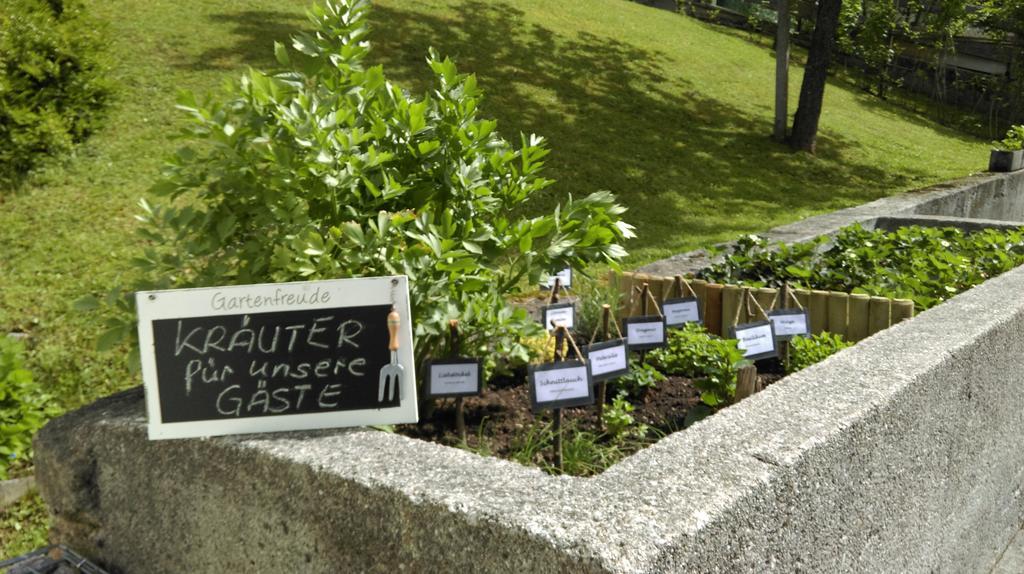 Bergheim Komfort Ferienwohnungen Walchsee Zewnętrze zdjęcie
